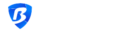BitBrowser 